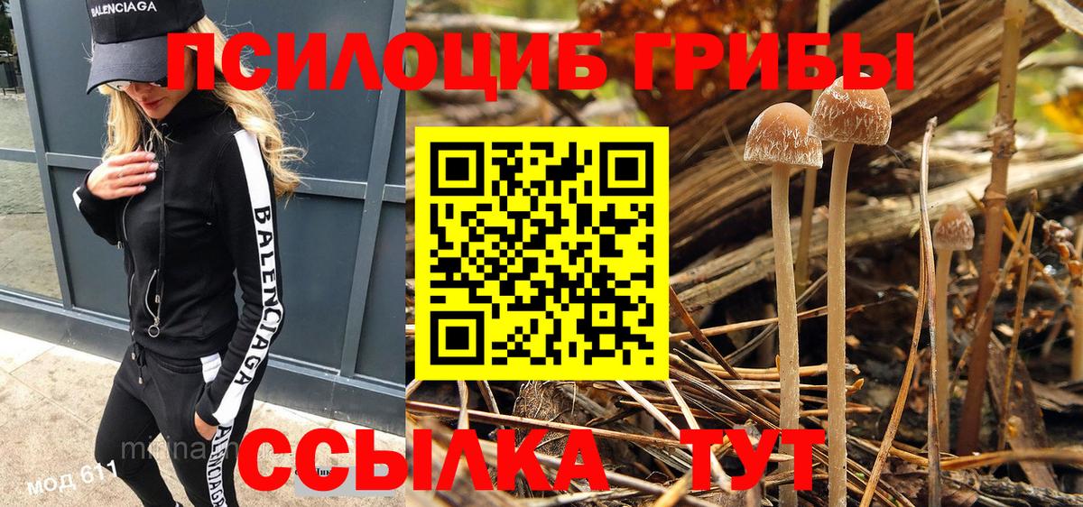 Галлюциногенные грибы прущие грибы Дивногорск