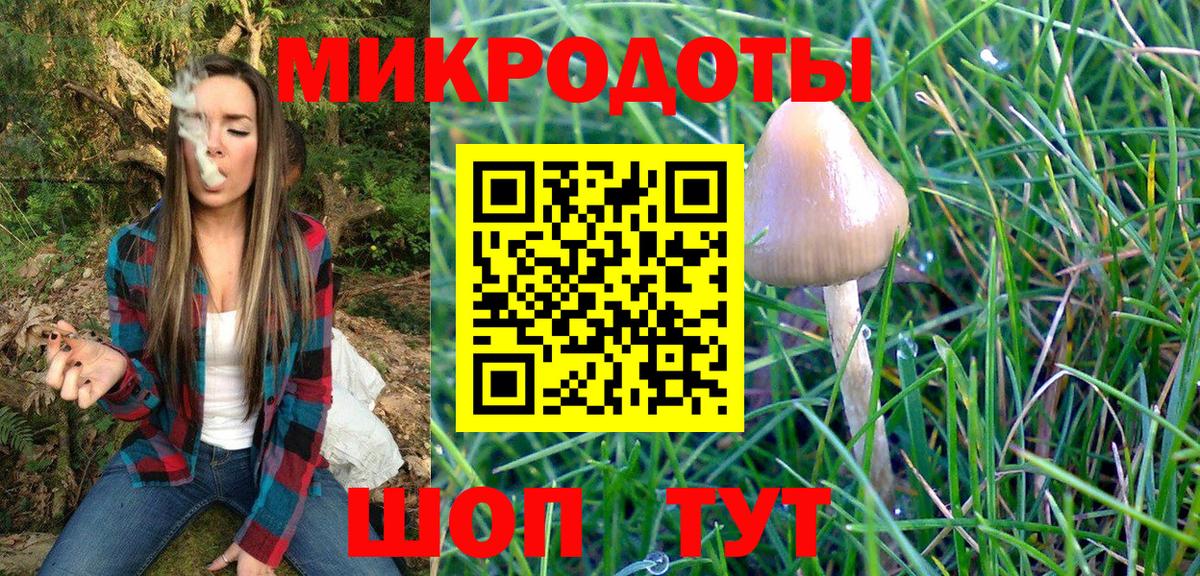 Псилоцибиновые грибы мицелий  Вход с VPN  Дивногорск 